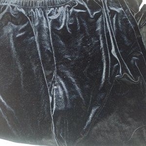 Ladies Black Velvet Stretch Plus Size Pants 2x/3x - image 1